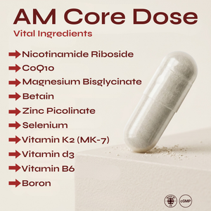 AM + PM Core & Recovery Stack