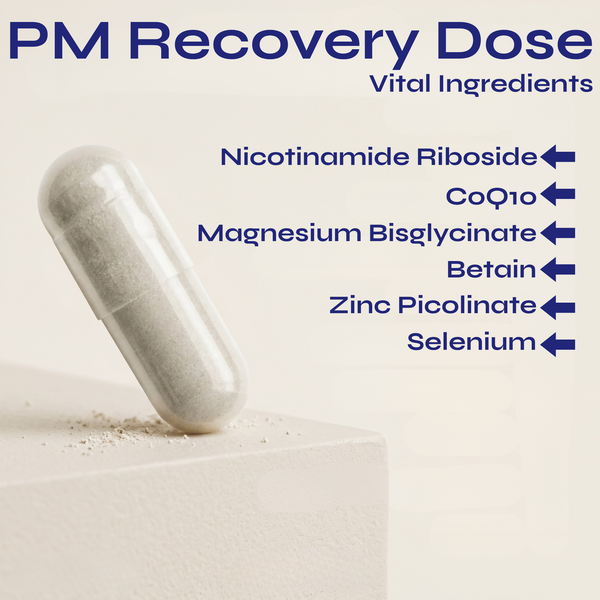 AM + PM Core & Recovery Stack