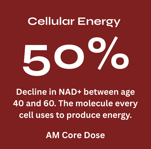 AM + PM Core & Recovery Stack